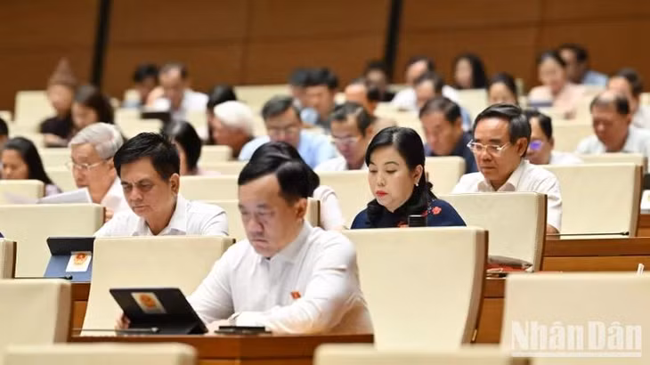 Các đại biểu tham dự phiên họp. (Ảnh: THỦY NGUYÊN)