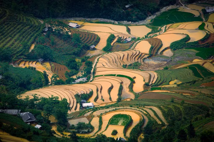 Mỗi năm, vào khoảng đầu hè (tháng 5 sang tháng 6), khi những cơn mưa đầu mùa trút xuống, người dân Mù Cang Chải (Yên Bái) lại bắt đầu dẫn nước từ các con suối trên cao về ruộng. Đây là thời điểm mở đầu cho mùa vụ mới và cũng là lúc Mù Cang Chải bước vào mùa nước đổ – mùa của lao động, của sinh sôi và cũng là mùa khiến cảnh quan nơi đây trở nên độc đáo.