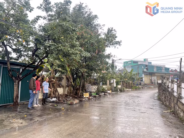 UBND phường Nam Hòa (TX Quảng Yên) tổ chức kiểm tra hiện trạng tuyến đường ven đê theo kiến nghị của nhân dân.
