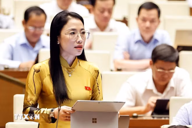 Đại biểu Quốc hội tỉnh Thái Bình Trần Khánh Thu phát biểu. (Ảnh: Doãn Tấn/TTXVN)