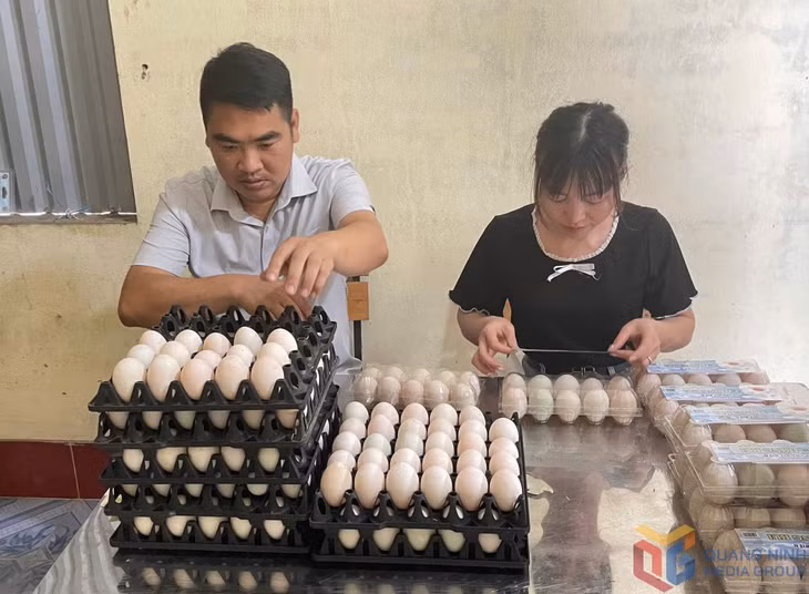 Anh Vũ Tuấn Anh, Giám đốc HTX Chăn nuôi và Dịch vụ Đồng Tiến và nhân viên chuẩn bị hàng hóa đưa ra thị trường.