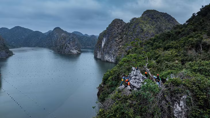 Sau khi chinh phục hành trình đu dây, du khách có thể tự do bơi lội hoặc chèo kayak khám phá mặt hồ. Không gian yên bình, làn nước trong xanh và khung cảnh núi non trùng điệp tạo nên trải nghiệm thư giãn lý tưởng. Ảnh: Van Ngo