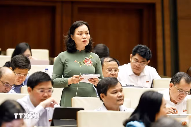 Đại biểu Quốc hội tỉnh Bà Rịa-Vũng Tàu Huỳnh Thị Phúc phát biểu. (Ảnh: Doãn Tấn/TTXVN)