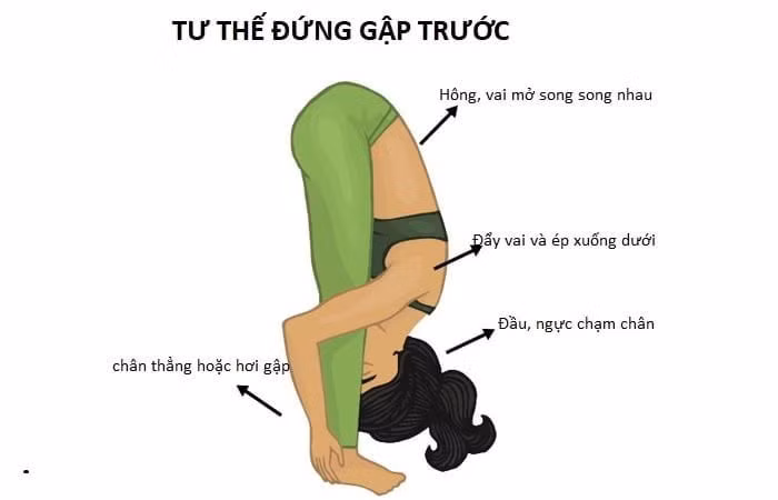 Đứng cúi gập người về phía trước lưu thông máu não.
