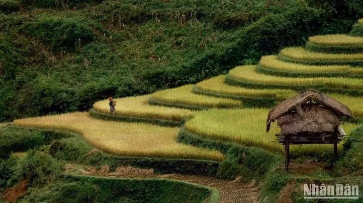 Văn hóa bản địa là điểm nhấn hấp dẫn du khách. (Ảnh: VŨ LINH)