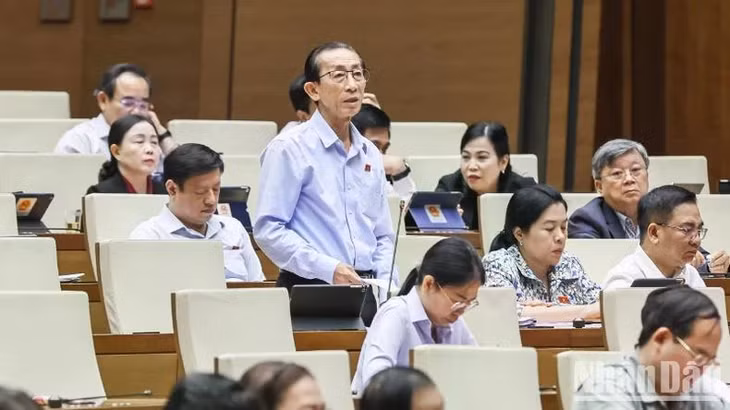 Đại biểu Trần Hoàng Ngân (Thành phố Hồ Chí Minh) phát biểu. (Ảnh: DUY LINH)
