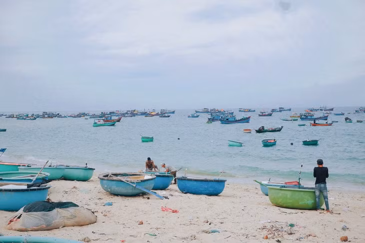 Sơn Hải còn được biết đến với tên gọi là “làng chạy gió”, thuộc địa phận xã Phước Dinh, huyện Thuận Nam, tỉnh Ninh Thuận. Đây là làng chài có lịch sử lâu đời, mang vẻ đẹp mộc mạc, hoang sơ. Cái tên “làng chạy gió” như lời kể về một ngôi làng phải đối mặt với gió biển mạnh táp vào những con thuyền, mái nhà... bên bờ sóng vỗ. Ảnh: NVCC