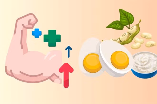 Nhu cầu về protein thay đổi theo từng giai đoạn của cuộc đời. Đồ họa: Đinh Đinh