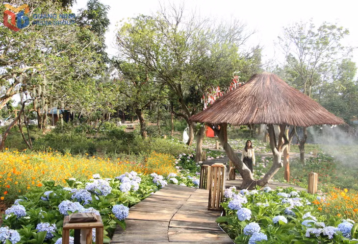 Cô Tô Village tạo không gian ngập tràn hoa tươi cho du khách check-in.