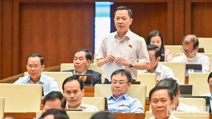Đại biểu Trịnh Xuân An (Đồng Nai) phát biểu. (Ảnh: BÙI GIANG)