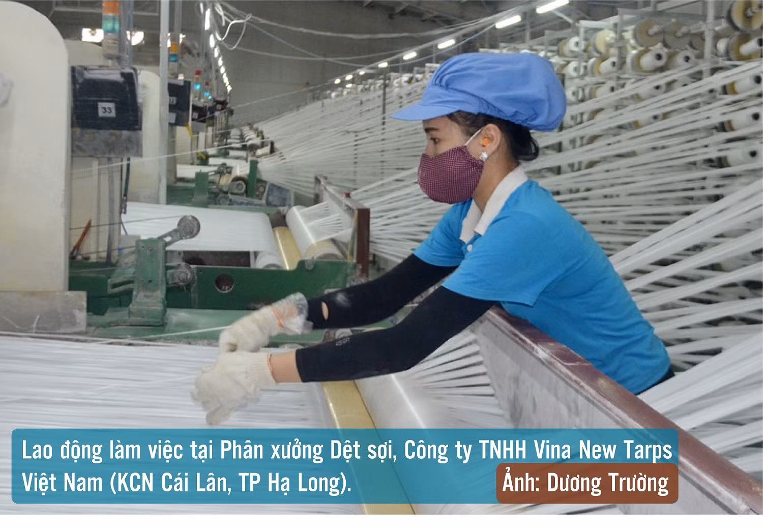 Khẳng định một Quảng Ninh đổi mới, năng động, sáng tạo ảnh 4