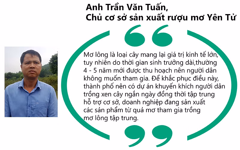 Tuan-quote.jpg