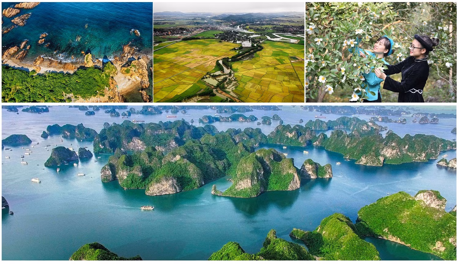 Được ví như một Việt Nam thu nhỏ, Quảng Ninh sở hữu những nguồn lực về tài nguyên, khoáng sản, cảnh quan kỳ vĩ, thiên nhiên phong phú, đặc sắc