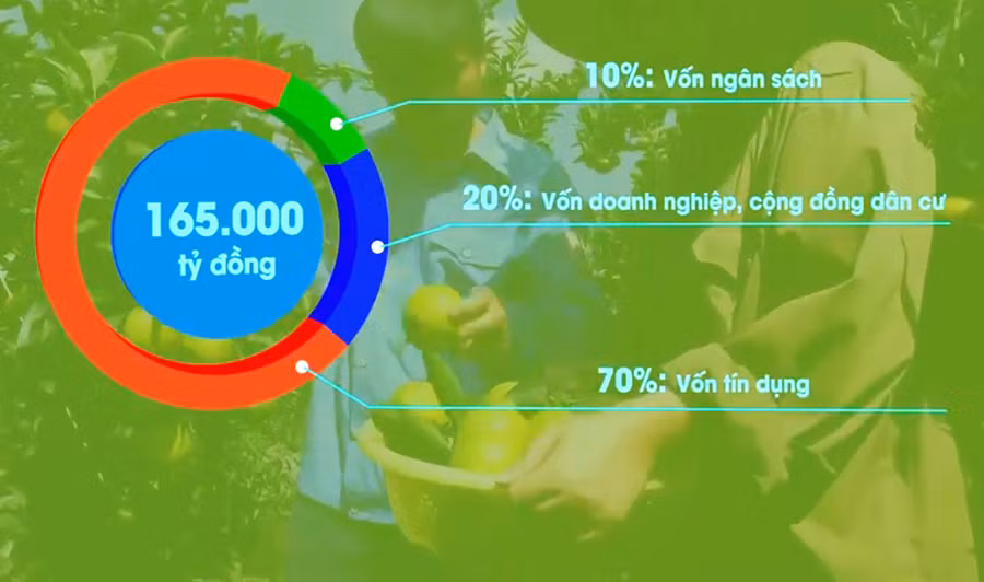 Trong 10 năm, tổng nguồn lực dành cho các vùng nông nghiệp, nông thôn là 165.000 tỷ đồng, trong đó vốn ngân sách chỉ là 10%.