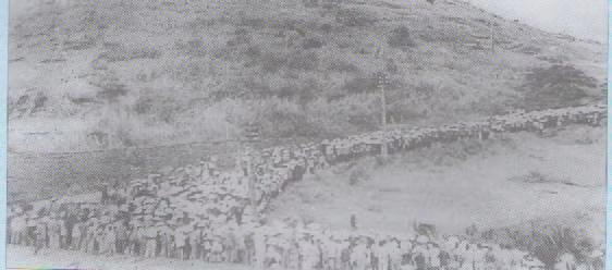 70 năm Giải phóng Vùng mỏ (25/4/1955 - 25/4/2025) ảnh 13
