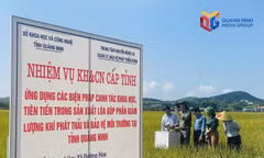Đưa công nghệ vào canh tác lúa, giảm phát thải
