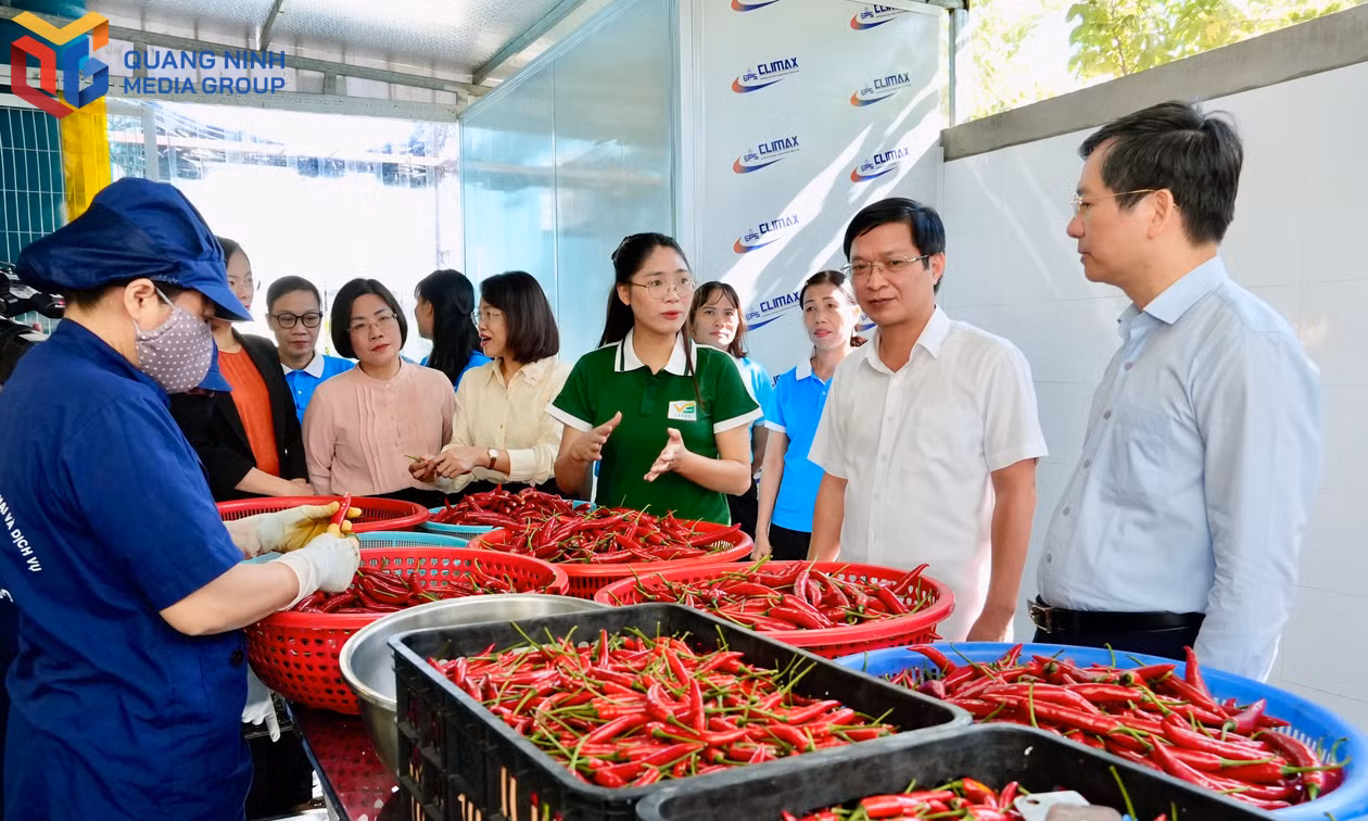 Lãnh đạo Thành phố, phường An Sinh tham quan mô hình phụ nữ khởi nghiệp của hội viên phụ nữ phường An Sinh.