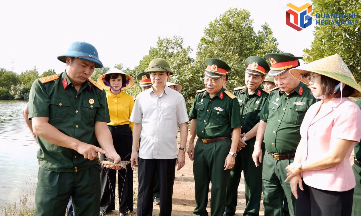 Xây dựng các mô hình Hội Cựu chiến binh sát cơ sở, hiệu quả, thiết thực