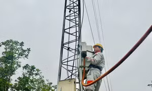  Phủ sóng 5G tại Quảng Ninh đạt 94% dân số, đứng thứ 12 toàn quốc