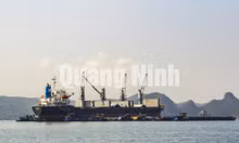 Những con tàu chờ than