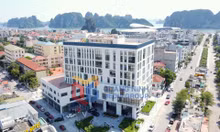 Trung tâm Kiểm soát bệnh tật (CDC) Quảng Ninh