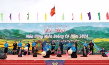 Lễ hội Mùa vàng miền soóng cọ 2022-2024 (huyện TIên Yên)