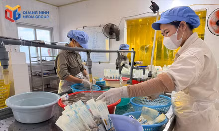 Thúc đẩy tiêu thụ sản phẩm qua hệ thống bán lẻ