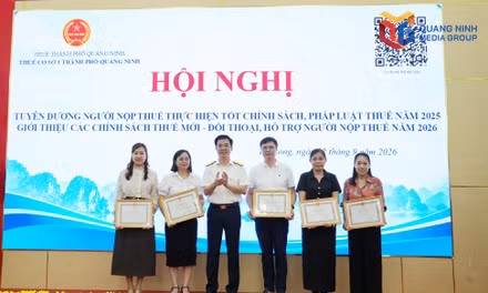 Phổ biến các chính sách thuế mới và đối thoại người nộp thuế 