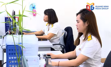 Đẩy nhanh công tác rà soát, làm sạch mã số thuế