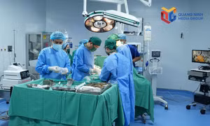 Kíp bác sĩ Bệnh viện Việt Đức và Bệnh viện Đa khoa thành phố Quảng Ninh phối hợp chặt chẽ để triển khai ca ghép thận, tối ngày 17/9/2026.