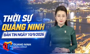 Dự báo thời tiết đêm 10/9, ngày 11/9/2026