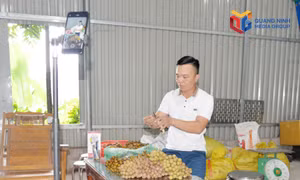 Nông thôn thông minh ở thành phố trẻ