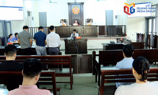 Quảng Ninh xét xử vụ án dân sự công ích đầu tiên