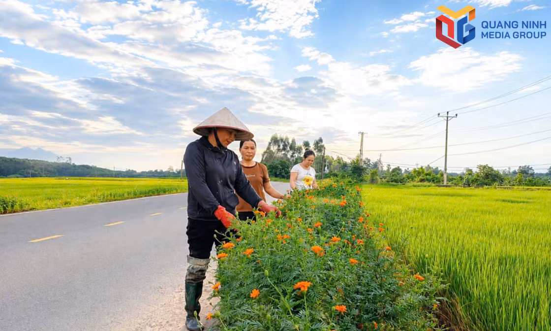 Nhiều mô hình mới góp sức xây dựng môi trường xanh - sạch - đẹp