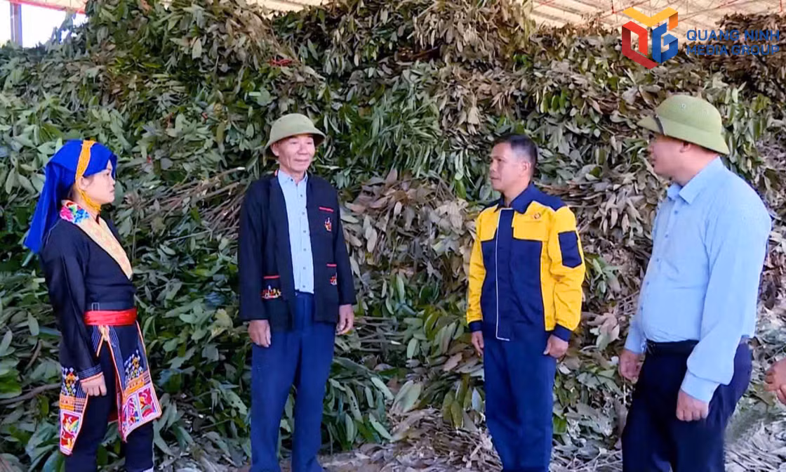 Phát huy vai trò hạt nhân lãnh đạo ở cơ sở 