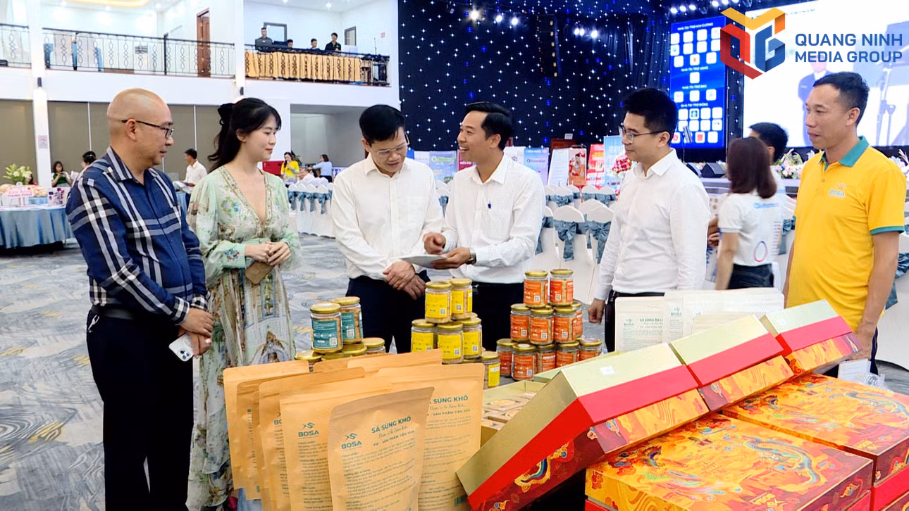 bqn_tr_ly-cuong-qtv2433mxf21-05-46-10still001.jpg