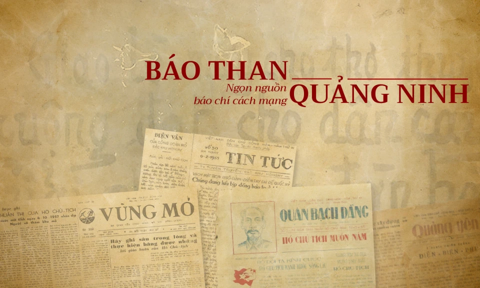 Phát Triển Đội Ngũ