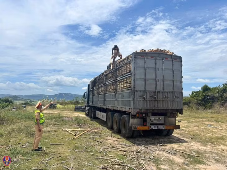 Trong quá trình tuần tra, kiểm soát, lực lượng Cảnh sát giao thông Công an tỉnh Đắk Lắk phát hiện xe ô tô đầu kéo kéo sơ mi rơ moóc chở hàng vượt quá chiều cao cho phép. Lực lượng chức năng đã lập biên bản, xử lý cả người điều khiển và chủ phương tiện theo quy định.