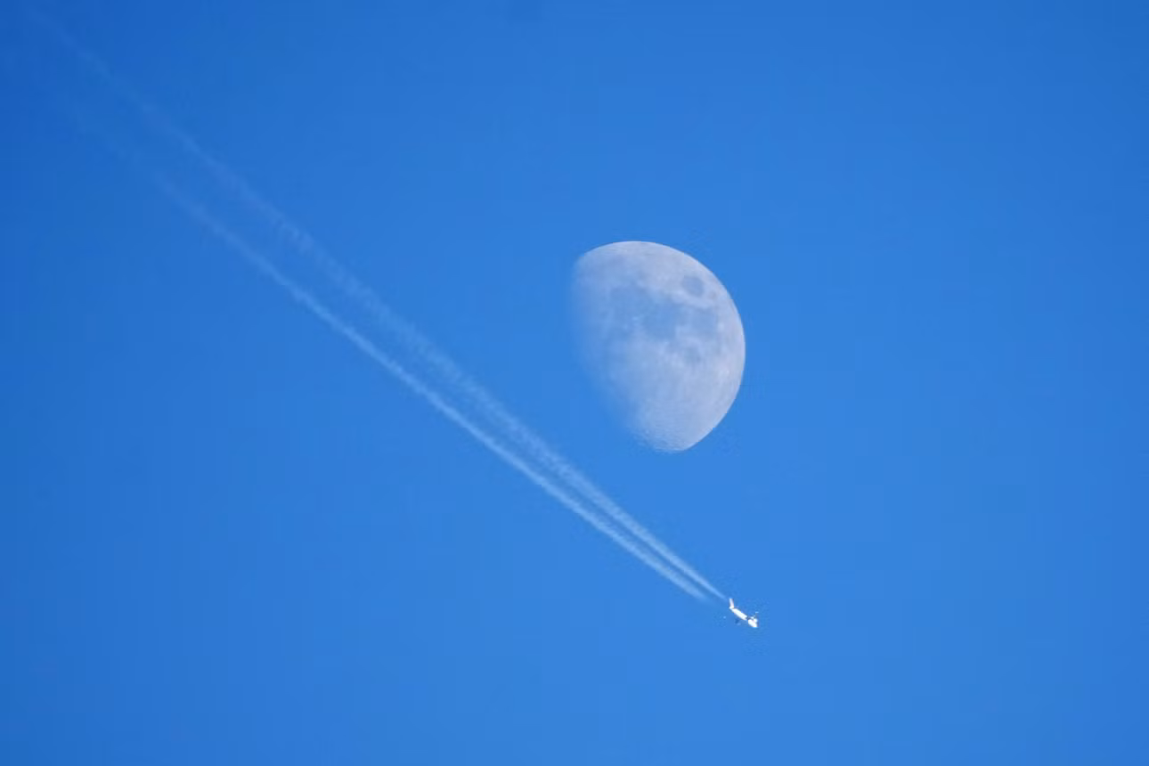 ap26229755064984.jpg