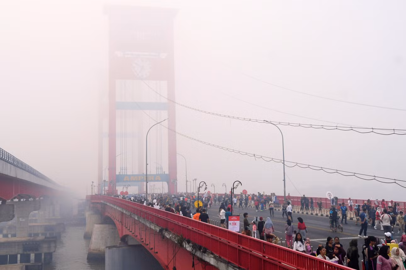 ap26235406409981.jpg