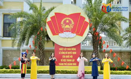 Niềm vui thành phố, khát vọng vươn lên