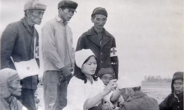 Những nhịp cầu nhân ái
