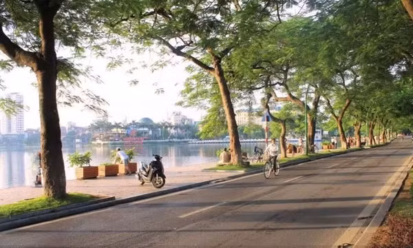 Tin gió mùa đông bắc