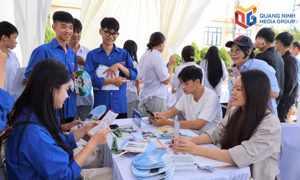 Ngày hội việc làm cụm xã Đầm Hà - Quảng Tân năm 2026