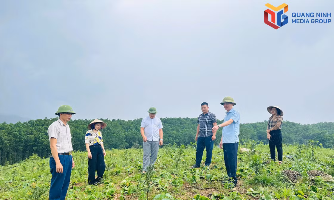 Nông dân Quảng Ninh đoạt giải tại Cuộc thi “Sáng tạo Kỹ thuật Nhà nông toàn quốc”