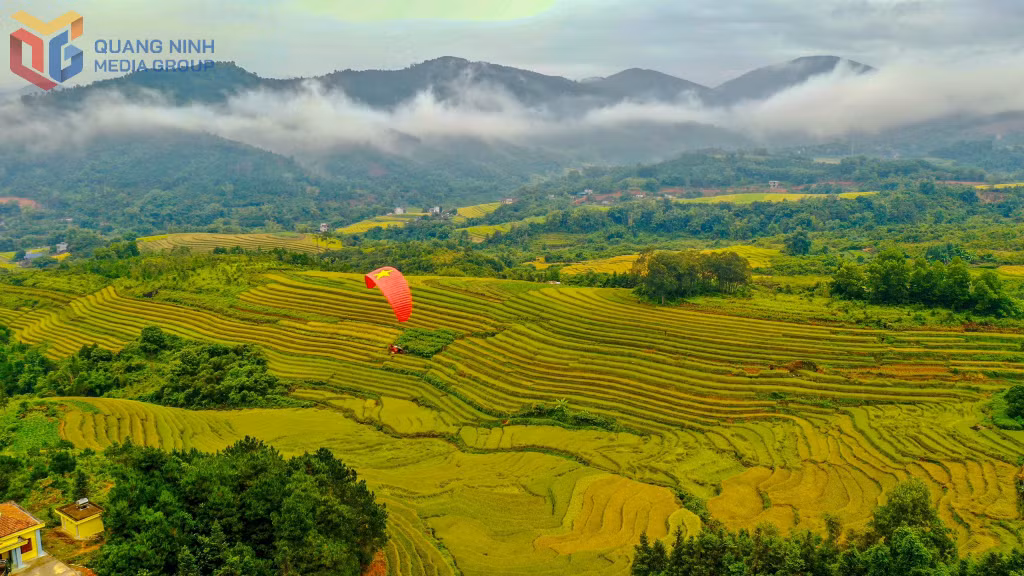 Trải nghiệm bay dù lượn ngắm toàn cảnh mùa vàng xã Lục Hồn từ trên cao mang đến trải nghiệm thú vị cho du khách.