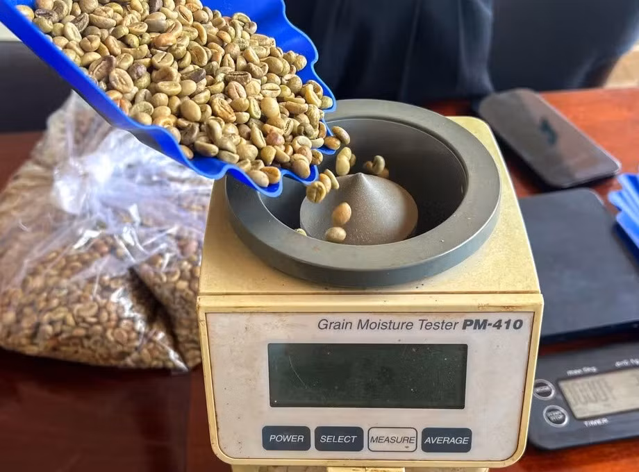 Cà phê Việt Nam trở thành thương hiệu có giá trị trên thế giới. Ảnh: Vũ Sinh/TTXVN.