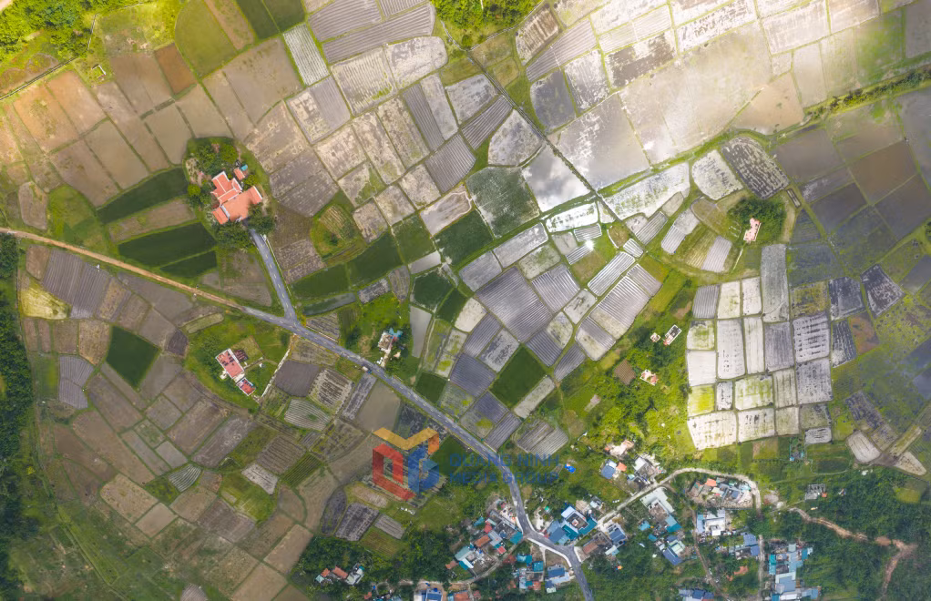 Những thửa ruộng trù phú cung cấp nguồn lương thực chính cho người dân sinh sống trên đảo.