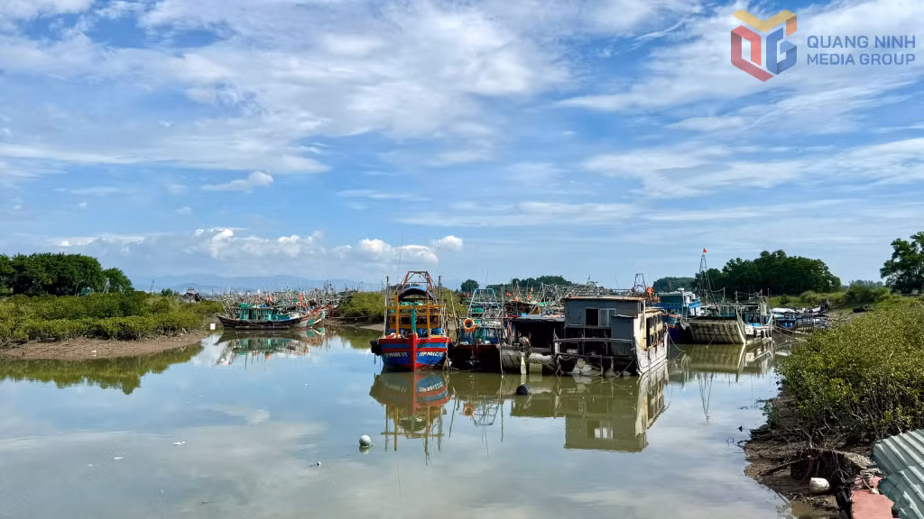 Tàu thuyền neo đậu tránh trú tại khu vực Bình Ngọc, phường Móng Cái 1.