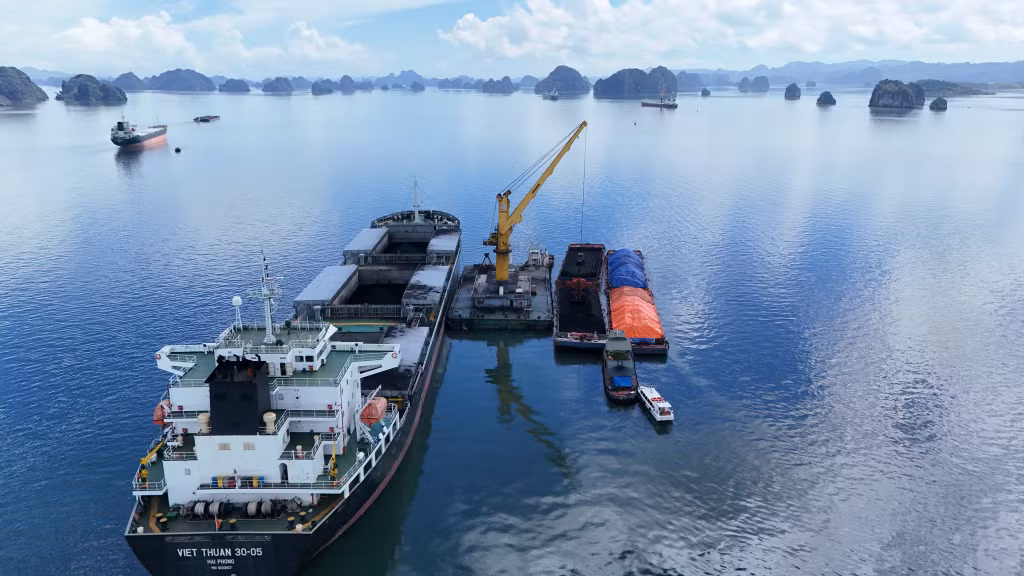 Công ty Kho vận và Cảng Cẩm Phả - Vinacomin, đơn vị đầu mối tiêu thụ than của Tập đoàn Công nghiệp Than - Khoáng sản Việt Nam, mỗi năm tiêu thụ trung bình từ 45 đến hơn 60 triệu tấn than.